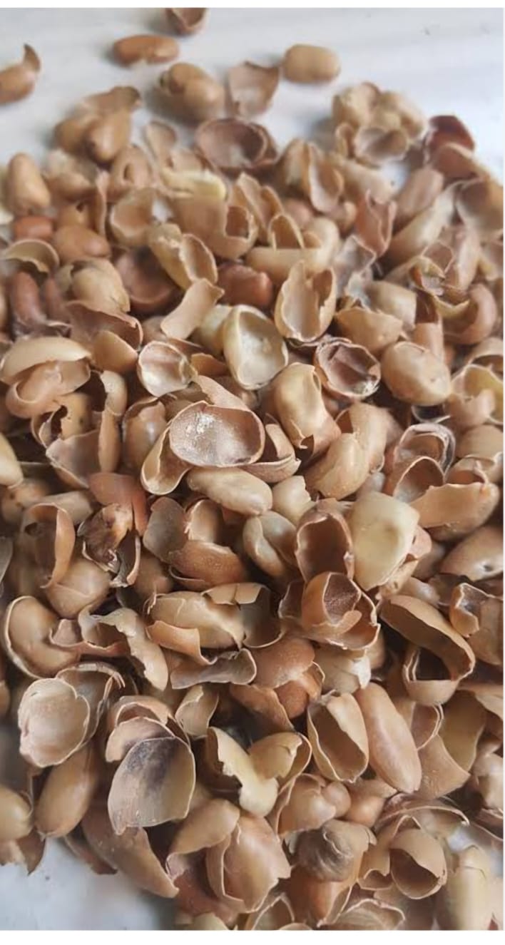 قشر فول بلدي