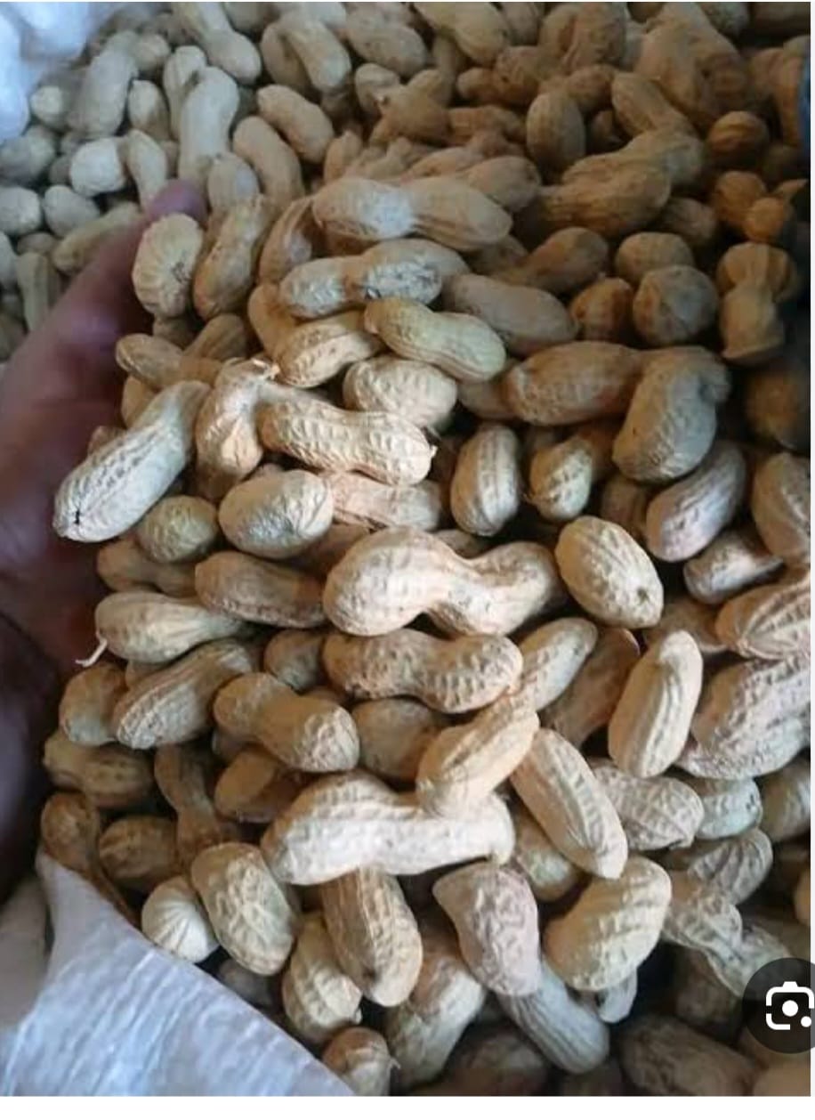 سوداني روومي - 1 كجم